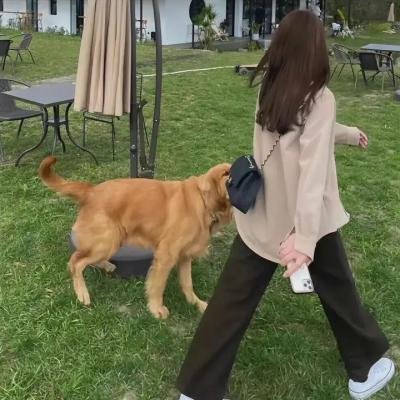 战略迷魂